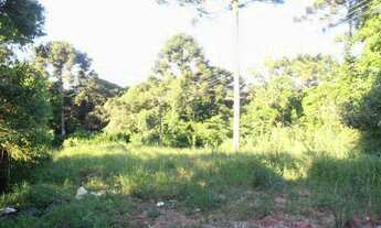 Imagem 4: Terreno para Venda em Quatro Barras, Jardim Orestes Thá