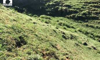 Imagem 7: Terreno Rural em Alfredo Chaves com 133 mil m² com Nascente