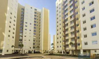 Imagem 3: Canoas - Padrão - Marechal Rondon