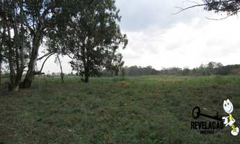 Imagem 3: Área à venda, 46767 m² por R$ 11.691.850,00 - Planta Quississana - São José dos Pinhais/PR