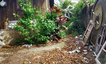 Imagem 6: Terreno à Venda - Salgado Filho