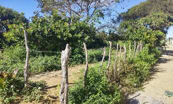 Imagem: Terreno. Em Martins RN