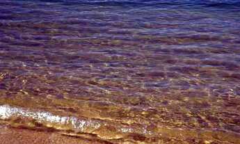 Imagem 4: EXTRAORDINÁRIA Casa com 4 dormitórios