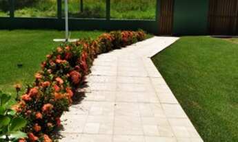 Imagem 6: Belíssima casa com piscina na rodovia Ilhéus Olivença