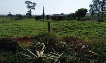 Imagem: Chácara R$ 150.000,00 mil (2 alqueire