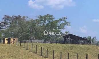 Imagem 4: Fazenda à venda, 8130000 m² - Centro - Sena Madureira/AC