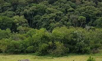 Imagem 4: Terreno Condomínio Fechado