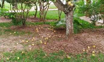 Imagem 6: Casa em Santa Bárbara Resort Residence - Local privilegiado