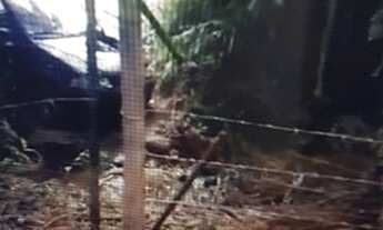 Imagem 2: Terreno 9000 m2 Terreno / lote com venda por R$550.000