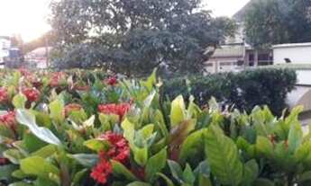 Imagem 6: Apartamento à venda, Vila Ipojuca, São Paulo, SP