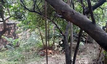 Imagem 4: Casa com terreno