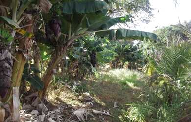 Imagem 5: Lindo sitio de 20 mil metros(Baldim) Temos varias opções)