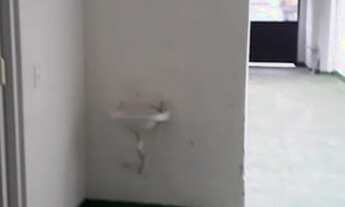 Imagem 3: GALPÃO - CARRÃO - SP