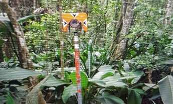 Imagem 3: Terreno 9000 m2 Terreno / lote com venda por R$550.000