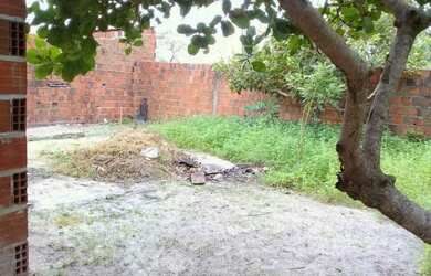 Imagem 6: Vendo casa com bastante terreno