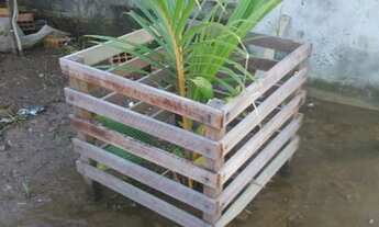 Imagem 5: Casa em fase de acabamento no cacal pireira