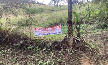 Imagem: Vendo área de 58000m2 no GOMERAL com escritura