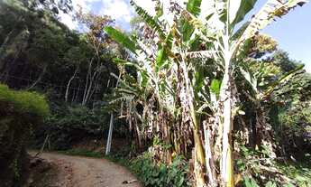 Imagem 2: Excelente terreno Residencial, investimento imobiliário, condomínio, etc... Albuquerque