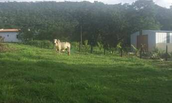 Imagem 7: Fazenda na Agrovila das Palmeiras