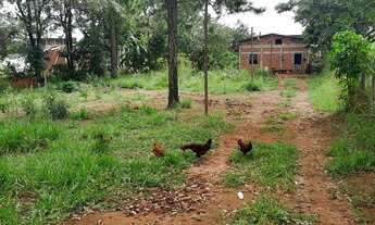 Imagem: Chácara no Goiabal