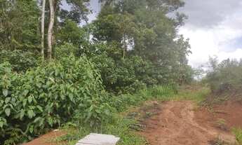 Imagem 4: Chácara 20.000 m² - Campo Largo - São Silvestre - Herval do Castro