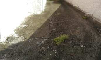 Imagem 6: Casa com 03 Dormitórios, Churrasqueira & Garagem para 02 Carros em Forquilhas