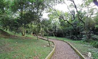 Imagem 7: Porto Alegre - Casa Padrão - Agronomia