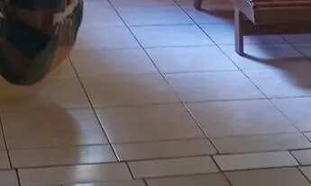 Imagem 5: Casa Casa com 2 dormitórios