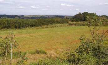 Imagem 4: Venda de Comercial / Barracão na cidade de ARTUR NOGUEIRA
