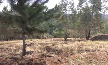 Imagem 2: Terreno , mini chácara 450 mtrs