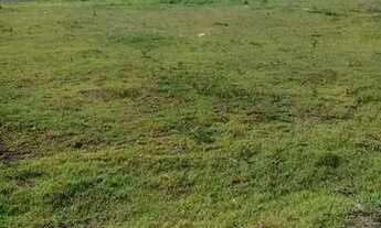 Imagem 3: Terreno em Cambé, disponível para venda