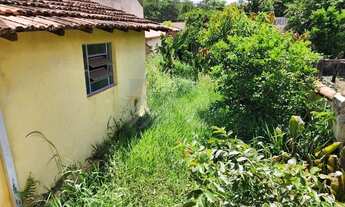 Imagem 7: Venda de Casas / Padrão na cidade de Rio Claro