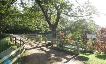 Imagem: Vende-se terreno de 1500 metros quadrados