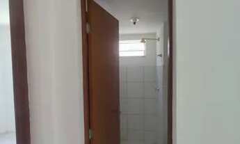 Imagem 6: Aluguel apartamento Bela Cintra