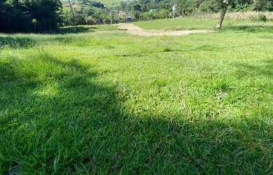 Imagem 6: LP- Terreno próximo de comércios