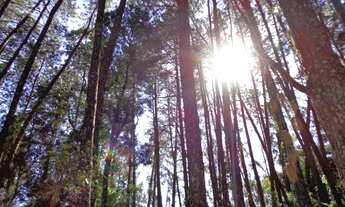 Imagem 5: Magnífica casa triplex em estilo rústico colonial!