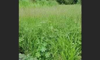 Imagem 4: Lote 578m² Faiçalvile vista permanente