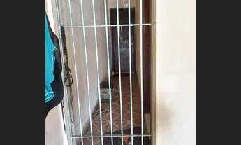 Imagem 6: Venda Casa com 2 dormitórios