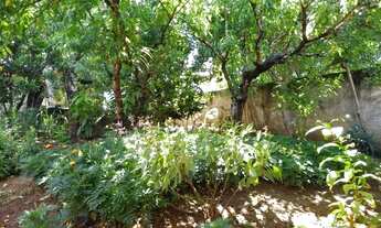 Imagem 6: Sobrado c/ ponto comercial