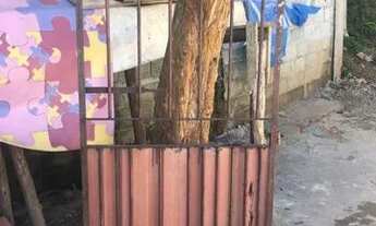 Imagem 3: Perfeito Apartamento com 5 dormitórios