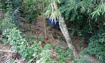 Imagem 7: Chácara pertinho do centro de Rolante RS