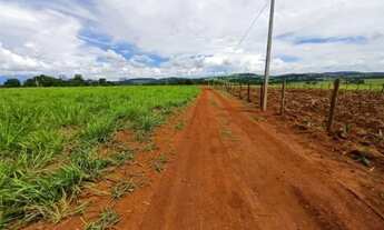 Imagem 5: Vendo chácaras em nova Veneza ótima oportunidade !