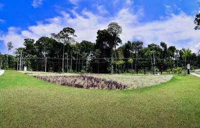 Imagem 3: Lote/Terreno no Condomínio Alphaville para venda tem 360m² em Ponta Negra - Manaus - Amazo