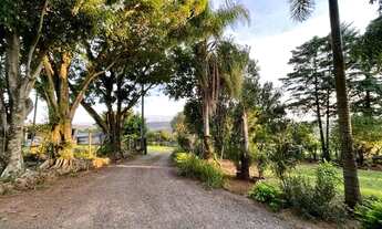 Imagem 4: Chácara de 3 quartos com grande área verde em Lomba Grande