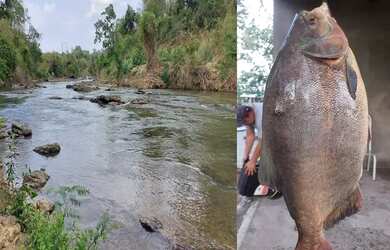 Imagem 2: Chácaras para Venda, Rio Verde