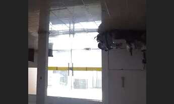 Imagem 3: Ponto Comercial. Bom para várias atividades Não exige Fiador Aceita propostas