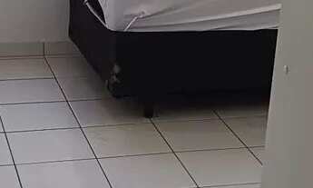 Imagem 4: Alugo Apartamento em Suzano próximo do Shopping