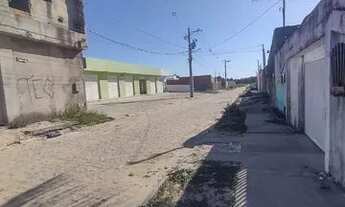 Imagem: Alguém tem um Pincher 0