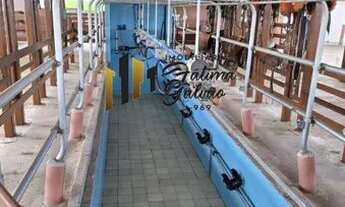 Imagem 7: Vendo Fazenda Prox. de Castanhal 1.163,5657 hà