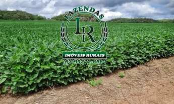 Imagem 3: Fazenda 365 alqueires, 1.766 hectares, Área aberta